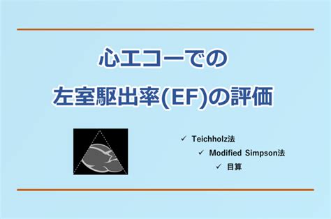 心エコーでの左室収縮機能(LVEF)の評 